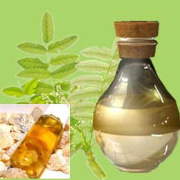 Frankincense essential oil